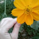 สมาชิกหมายเลข 2197981