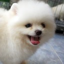 สมาชิกหมายเลข 2198227