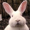 สมาชิกหมายเลข 3451782