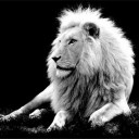 สมาชิกหมายเลข 1361143