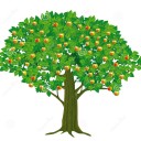 สมาชิกหมายเลข 1252718