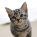 อย่าหยิบมีดมาทิ่มแทงตัวเอง