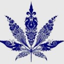 สมาชิกหมายเลข 2947485