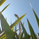 สมาชิกหมายเลข 2999133