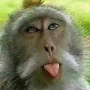 สมาชิกหมายเลข 2999476