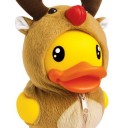 สมาชิกหมายเลข 3451875