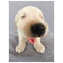 สมาชิกหมายเลข 2592843