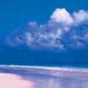 สมาชิกหมายเลข 870235