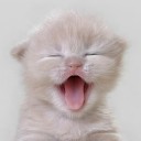 สมาชิกหมายเลข 2999064