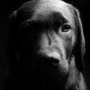 สมาชิกหมายเลข 947104