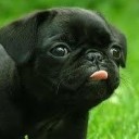 ราดหน้าไข่ดาว