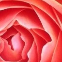 สมาชิกหมายเลข 901278