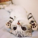 สมาชิกหมายเลข 2167313