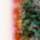 สมาชิกหมายเลข 2592541