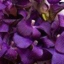 สมาชิกหมายเลข 2991436