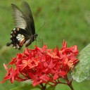 คนร่วมชายคา