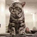 สมาชิกหมายเลข 960126