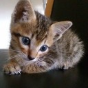 สมาชิกหมายเลข 3443857