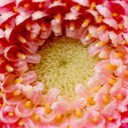 สมาชิกหมายเลข 3453650