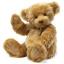 teddycute