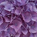 กระท้อนแช่บ้วย