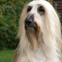 สมาชิกหมายเลข 936357