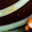 สมาชิกหมายเลข 954989