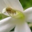 สมาชิกหมายเลข 1362761