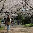 cHocoLate IcE cReam CaKE