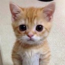 จอมขมังเว็บ