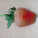 สมาชิกหมายเลข 2988958