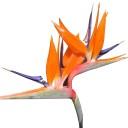 ปักษาสวรรค์แห่งความสุข