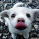 สมาชิกหมายเลข 2903989