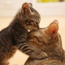 ตามหาคนพิเศษที่ดูธรรมดา