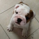 หมึกนึ่งมะนาวกับไฮเนเก้น