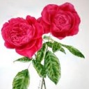 สมาชิกหมายเลข 1789151