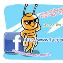 VIโดดเดี่ยว