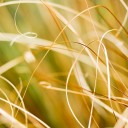 สมาชิกหมายเลข 950122