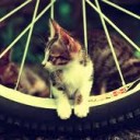 สมาชิกหมายเลข 960663