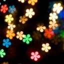 สมาชิกหมายเลข 960737