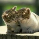 สมาชิกหมายเลข 2200682