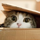 สมาชิกหมายเลข 3001996