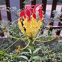 สมาชิกหมายเลข 722066