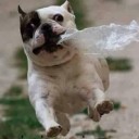 สมาชิกหมายเลข 1134027