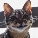 สมาชิกหมายเลข 2971792