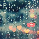 สมาชิกหมายเลข 3002450