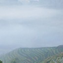 เพียงฝันใฝ่