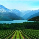 สมาชิกหมายเลข 3454259