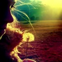 สมาชิกหมายเลข 1364976