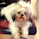 สมาชิกหมายเลข 1688867